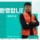 임창우 스포츠서울