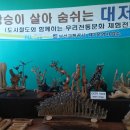 대저역 이미지