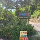 새양골펜션 | 성주 새양골펜션 수영장 후기｜아이와 가기 좋은 성주 펜션