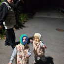 비타민 팜 오토캠핑장 이미지