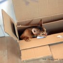 미우랑농장 이미지