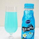 블루하와이 이미지