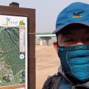 원주굽이길 원7코스 반계리은행나무길 이미지