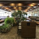 태종아리랑 이미지