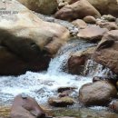 대원사계곡 이미지