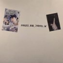 혜성 | 26년 혜성 생카 후기 / 혬의 포토레코드