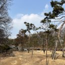 피터팻츠 - 고양시 덕양구 주교동 | 피터팻츠