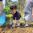 레인보우키즈어린이집 이미지