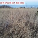 소로3-132 이미지