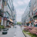 스쿠버208 네이버블로그