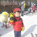 한국체대 양지 태권도 이미지