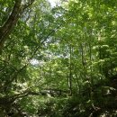 노동오토캠핑장 이미지