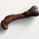 포유테크 이미지