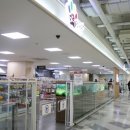 펫 사랑 이미지