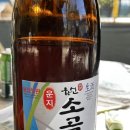 도리돌 캠핑장 이미지
