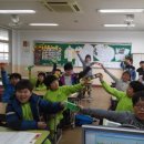 남강초등학교 이미지