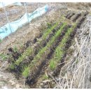 준구농장 이미지