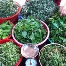 산야초건강마을 이미지