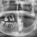 보스톤미소치과의원 이미지