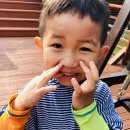 유자나무펜션 네이버블로그