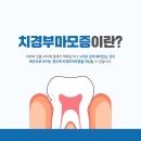 해온미소치과의원 이미지