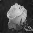 실험과학 (저) 이미지