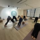 교하중학교 | 파주운정요가 제이플로우요가에서 몸의 활력을 되찾았어요!