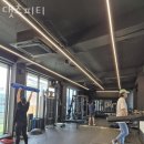 댓츠피티 이미지