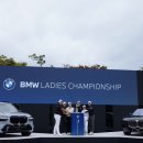 파인비치 | 직접 가본 BEST 골프장, 사계절 푸른 금잔디 파인비치CC 후기!