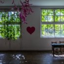 천년목장 이미지