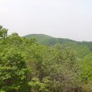 산뒤천 Daum카페