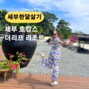 다인아이티(주) | 세부 막탄 더 리프 아일랜드 리조트 (feat. 막탄 신상 리조트👍)