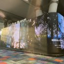 산수인가 이미지