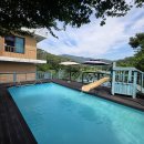 하늘애견 이미지