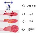 MSGym 이미지
