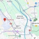 ✈️ 바젤공항 Skyview Lounge (스카이뷰 라운지) 후기 / 유로에어포트 비밀 분해분석