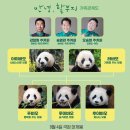 산울림 | [안녕, 할부지] 시사회 후기Ⅰ아름다운 교감의 서정시 /Good bye "Fu..."