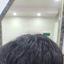 엄재경가발
