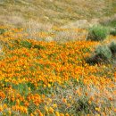 흥전5리 이미지