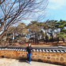 군위 아미타여래삼존 석굴 티스토리