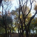 단관공원길 이미지