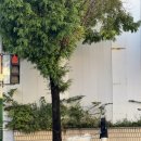 남주네세탁소 이미지