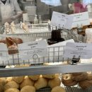 하레하레 이미지