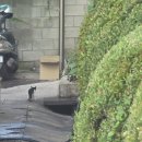 삼산1길 | EP.06 HD현대중공업 기술교육원 전문테크니션 5주차