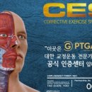같이,가치(Gachi Gachi)