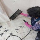 남창초등학교 이미지