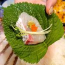 대광어횟집 이미지