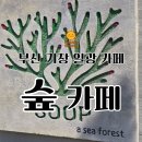 일광 | 기장일광 숲 오픈런 후기