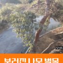 화산2리마을회관 이미지