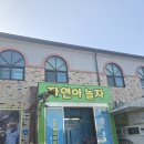 자연아 놀자자연생태탐험대 | 강릉 아이와 가볼만한곳 찾는다면? &#34;강릉 자연아놀자&#34; 생태체험 강력 추천!